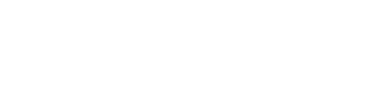 Wooclap logo white